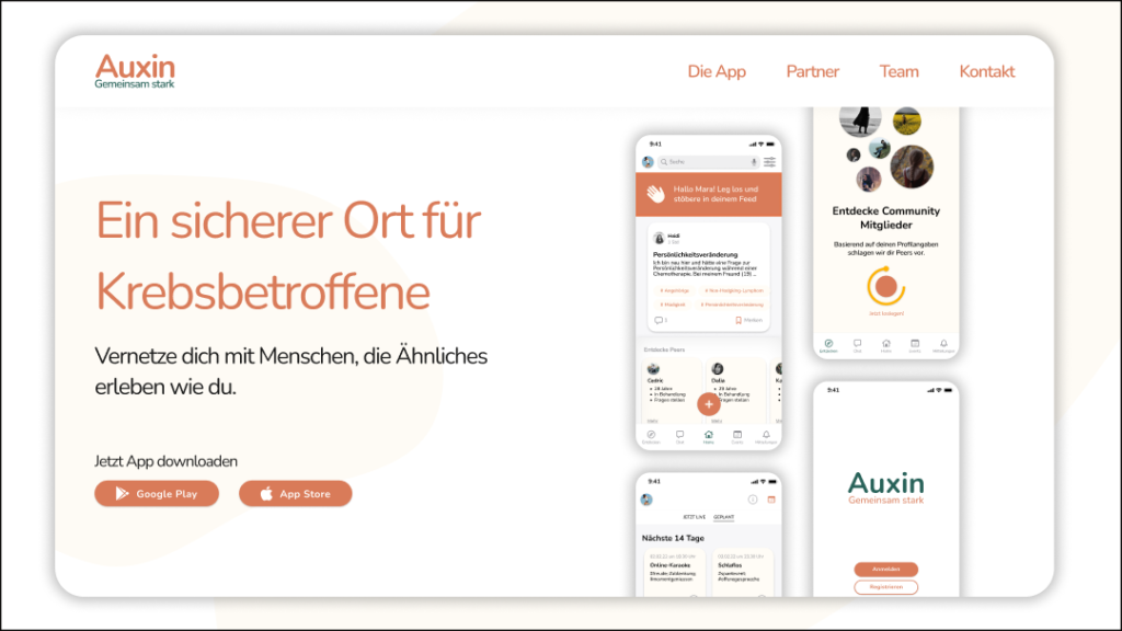 Mockup der Webseite Auxin